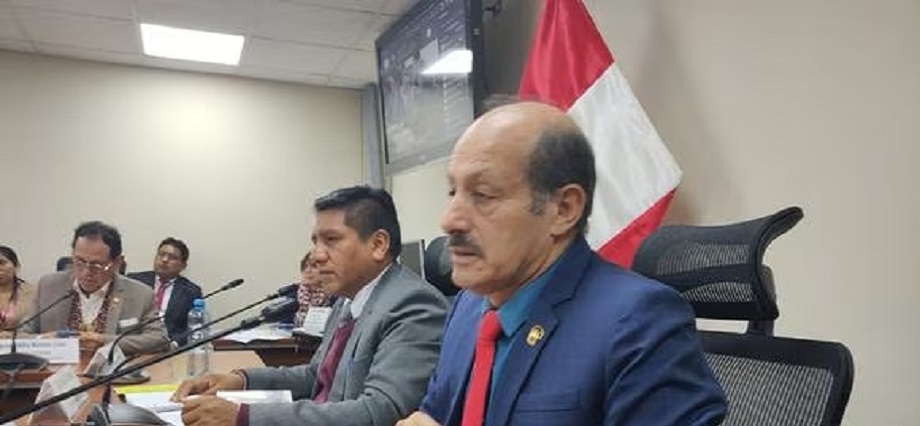 Comisión investigadora de empresas chinas va por Pedro Castillo