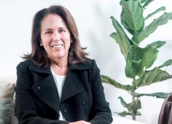 AFIN: “Para la reactivación hay que impulsar proyectos chicos y dos o tres emblemáticos”