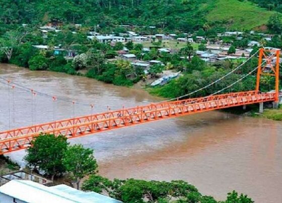 Gobierno promoverá un nuevo proceso de licitación del puente Tarata