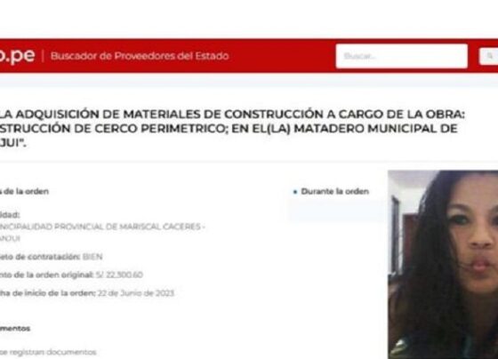 Creó empresa en mayo y en cuatro meses facturó casi medio millón de soles