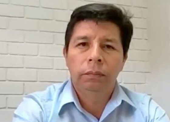 Comisión investigadora de empresas chinas recogió declaración de expresidente Castillo