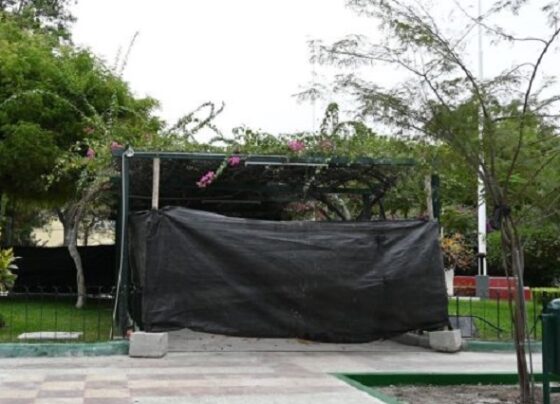 Piura: regidor denuncia a Gabriel Madrid por obra de la Plaza de Armas