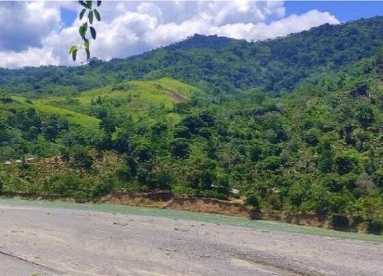 San Martín: advierten irregularidades en expediente técnico de puente peatonal en Tocache