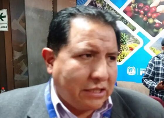 Se retrotraerá el proceso de licitación a fase de calificación del proyecto de estadio Enrique Torres de Puno