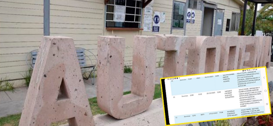 Autodema: contratan asesoría cuestionada