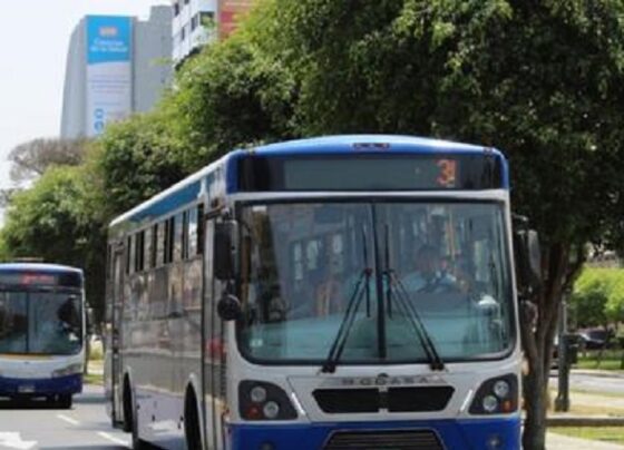 Contraloría detectó pérdidas de S/ 374 millones por pagos irregulares a concesionarios de los corredores