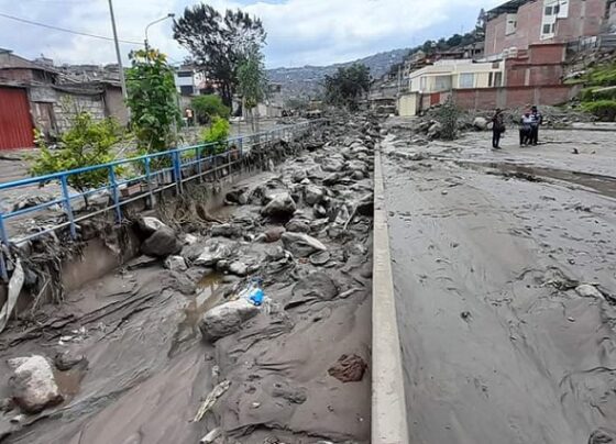 Por burocracia demoran un año para reconstrucción en torrentera Los Incas