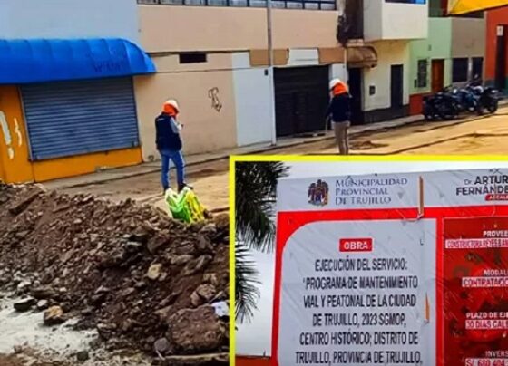 Trujillo: «MPT se coge de ley de emergencia para dar obras a dedo. Un parchado no es emergencia», indica ingeniero