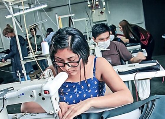Compra de kits escolares generará 50,000 empleos