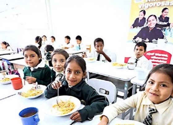 Destinaron S/ 6,369 mllns. para programas sociales