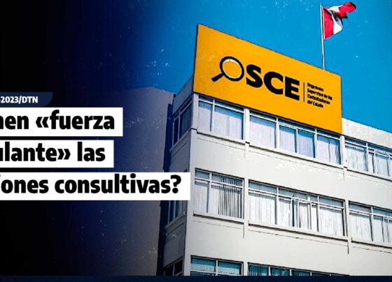 OSCE: ¿Tienen «fuerza vinculante» las opiniones consultivas?