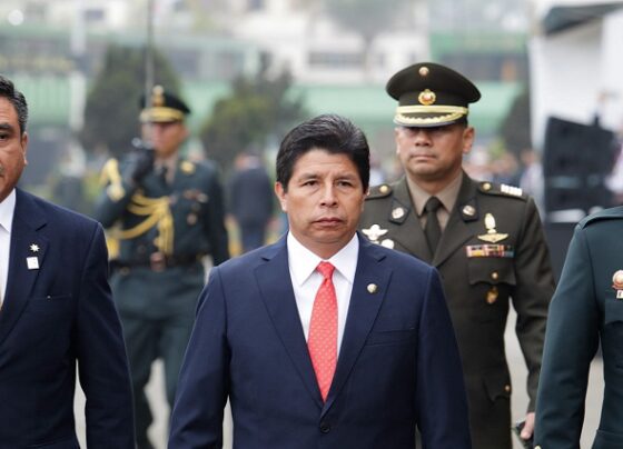 Así operó mafia de Vizcarra y Castillo