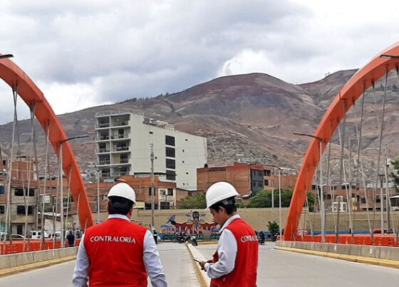 Irregularidades en puente Pavletich causaron perjuicio por S/ 4.8 millones