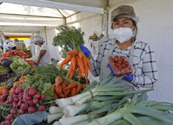 Ley de compras estatales a la agricultura familiar tiene mínima implementación y enormes desafíos