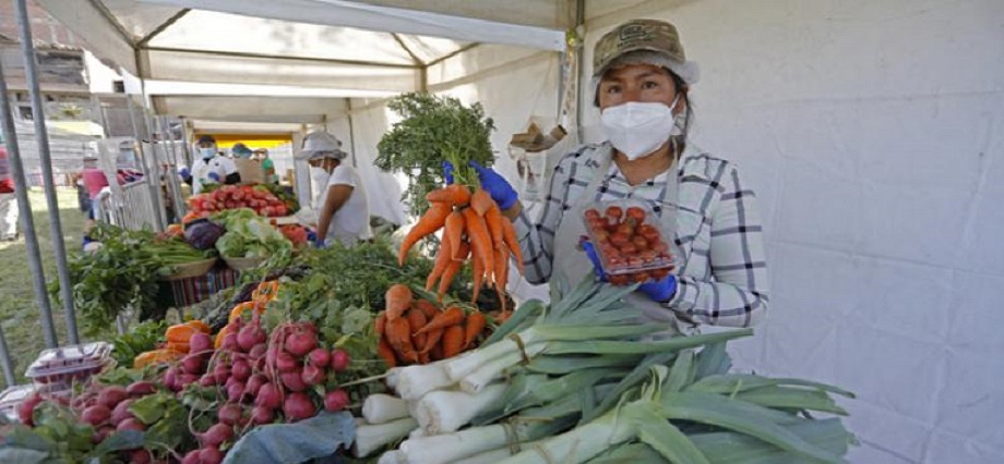 Ley de compras estatales a la agricultura familiar tiene mínima implementación y enormes desafíos