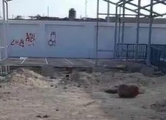 Pisco: abandonan obra de colegio inicial N° 316 en el sector Nazario Palomino, en San Clemente