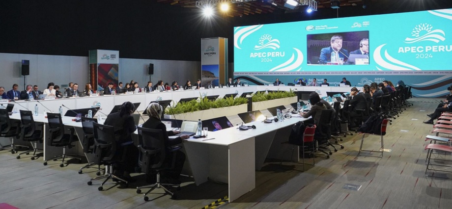 APEC 2024: Presidencia del Consejo de Ministros lideró reunión de expertos anticorrupción