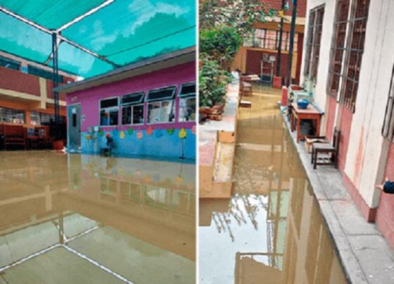 Arequipa: colegio se inunda con agua de desagüe a días del inicio de clases por obra municipal