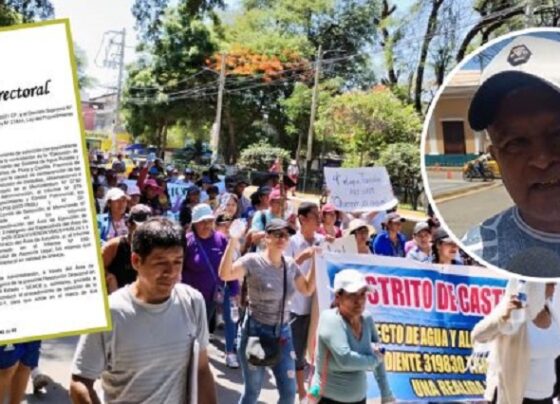 Declaran nulidad del proceso de licitación del proyecto de los 96 A.H.