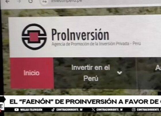 ProInversión y su faenón para entregar por 30 años puerto de Marcona a cuestionada empresa china