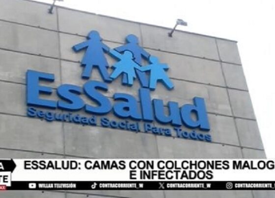 Licitaciones truncas y cuestionadas compras de colchones en EsSalud