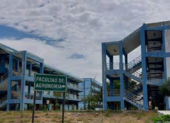 Irregularidades Detectadas en la Construcción de Laboratorios en la Universidad Nacional de Piura