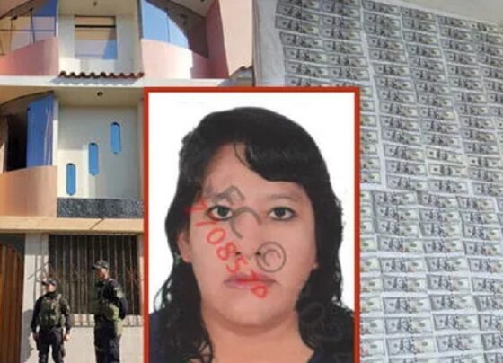 Arequipa: descubren US0.000 y S/18.000 en allanamiento de vivienda de exfuncionaria municipal