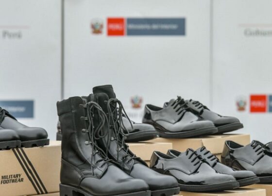 Homologación impulsará la reactivación económica de la industria del calzado