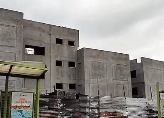 Arequipa: Comisión revela que faltan 60 bolsas de cemento en obra del colegio Luis H Bouroncle