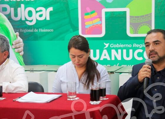 Contraloría confirma irregularidades en resolución de contrato de puente Castillo Grande