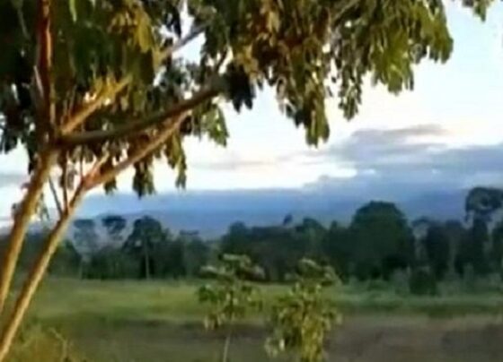 Junín: obra de saneamiento paralizada afecta a más de 10 mil pobladores