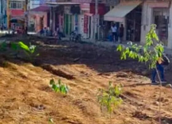 Junín: vecinos cansados de obras inconclusas siembran plátanos y yucas en plena vía pública