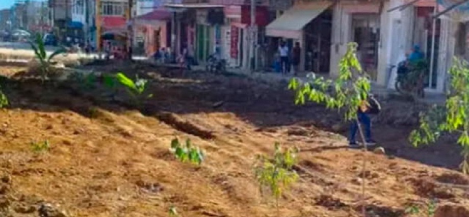 Junín: vecinos cansados de obras inconclusas siembran plátanos y yucas en plena vía pública