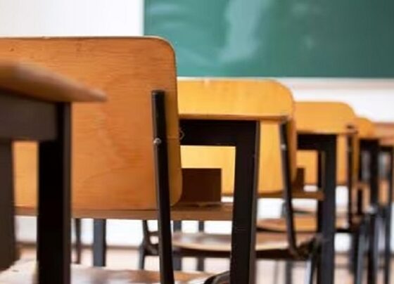 Mypes madereras ganaron licitación para proveer mobiliario escolar en Ucayali
