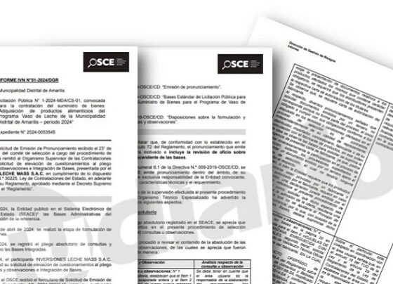 Osce corrige a municipalidad de Amarilis sobre licitación del PVL