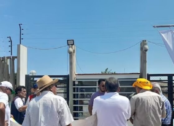 Pisco: hallan irregularidades en compra de tres refrigeradoras en el hospital San Juan