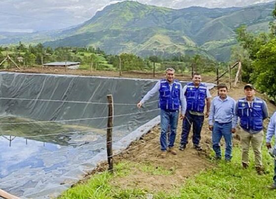 Piura: Reinician construcción de 1222 reservorios en Huancabamba, Ayabaca y Morropón