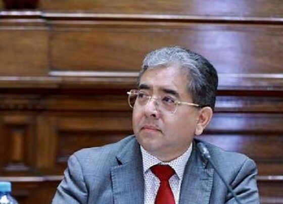 Se contrataron más de 16,000 proveedores para consultorías sin proceso