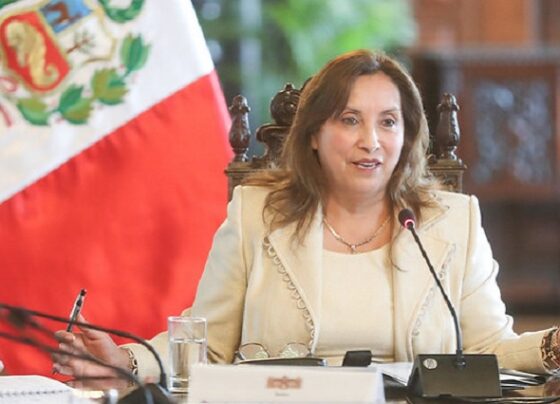 SNCI pide al gobierno de Dina Boluarte que observe nueva Ley de Contrataciones Públicas