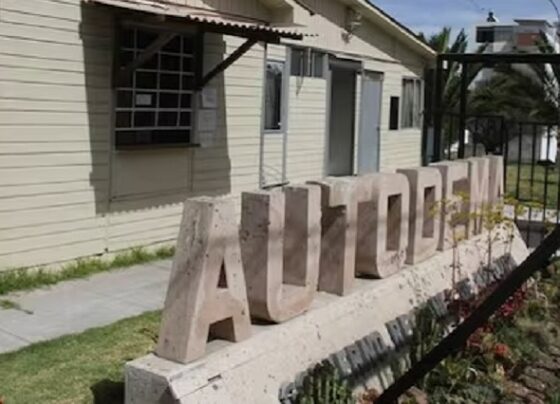 Arequipa: Contraloría advierte que Autodema habría favorecido a un postor