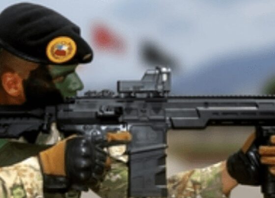 Contraloría: Ejército y FAME orientaron compra de fusiles a favor de Israel