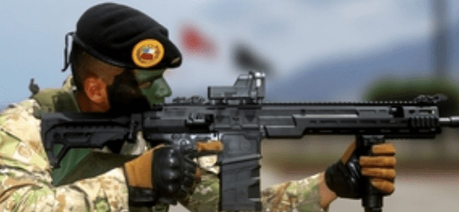 Contraloría: Ejército y FAME orientaron compra de fusiles a favor de Israel