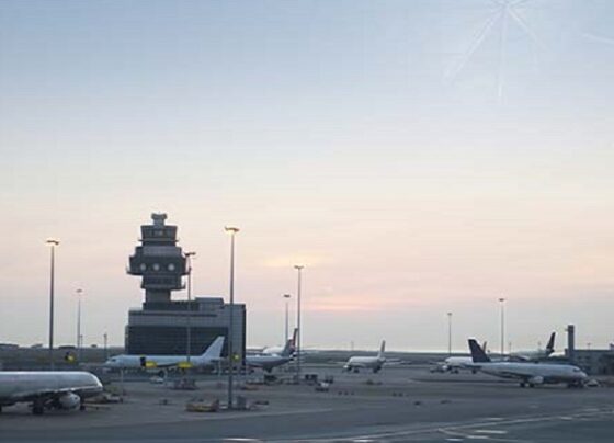 Especialista en contrataciones: “En el Perú cualquiera puede contratar con el Estado sin acreditar experiencia real en el mercado”