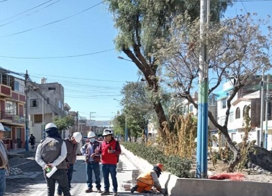 Contraloría alerta deficiencias técnicas en obra vial de Hunter
