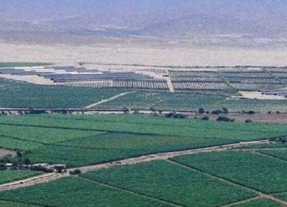 Perú ejecutará grandes proyectos de irrigación con inversión de US$ 3,000 millones