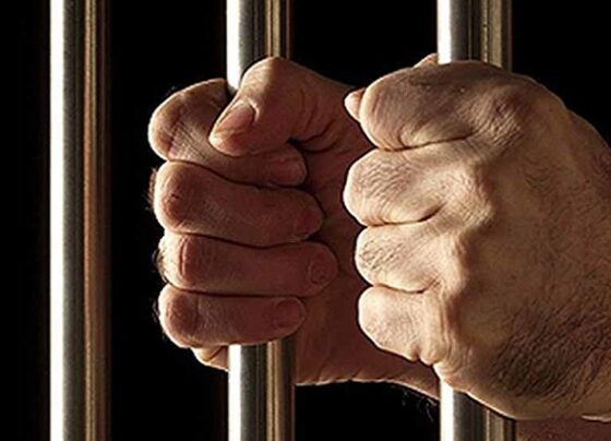 Piura: Sentencian a ex funcionarios de Municipalidad Distrital de Tambogrande por delitos de corrupción