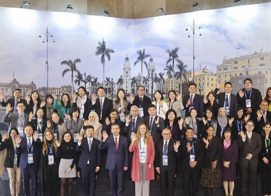 APEC 2024: Exponen avances en lucha contra la corrupción