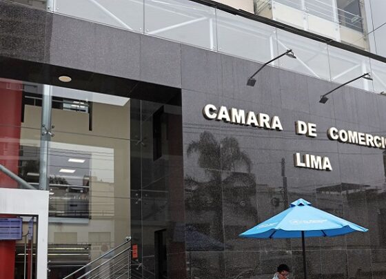 CCL: debe corregirse ley contra crimen organizado promulgada por el Congreso