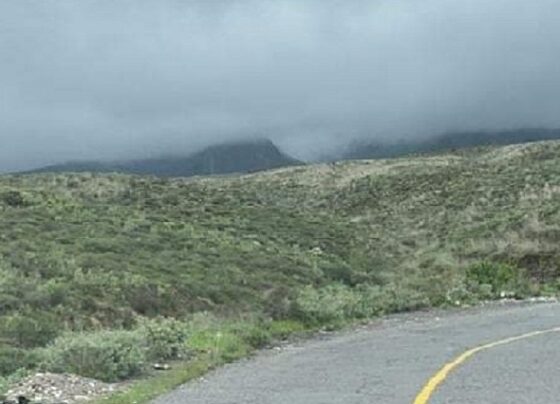 Contraloría: Demora en elaboración de expediente de obra vial de S/ 198 millones