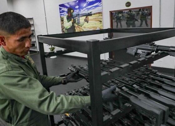 Contraloría: Incumplen entrega de 10 mil fusiles para el Ejército